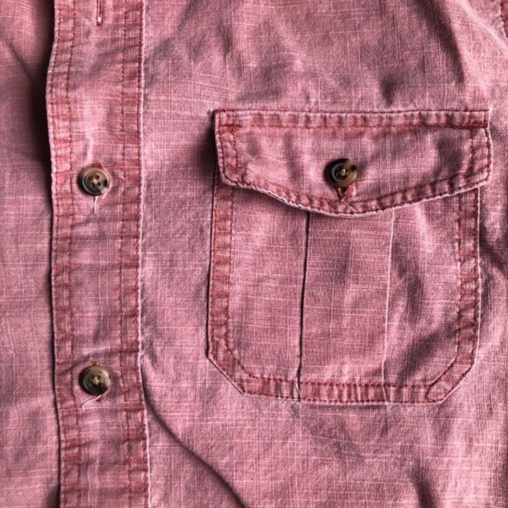 Button Down, Small - Picture 3 of 4